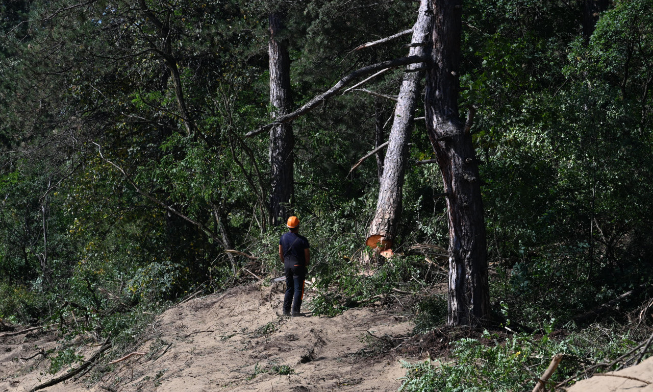 POŽAR JOŠ NIJE POBEĐEN, ALI STIŽE DOBRA VEST Najnovije vesti o stanju u Deliblatskoj peščari