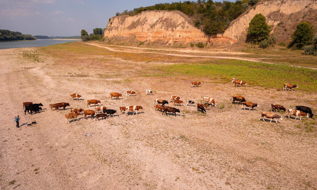 OPTIMIZAM IH BRZO NAPUSTIO: Nivo Dunava kod Černavode u Rumuniji opao za pet centimetara