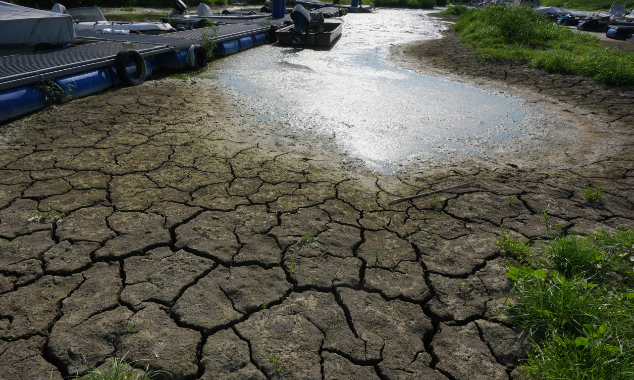 EVROPA U PLAMENU I BEZ VODE: Rekordne vrućine i suša prave nenormalnu štetu!