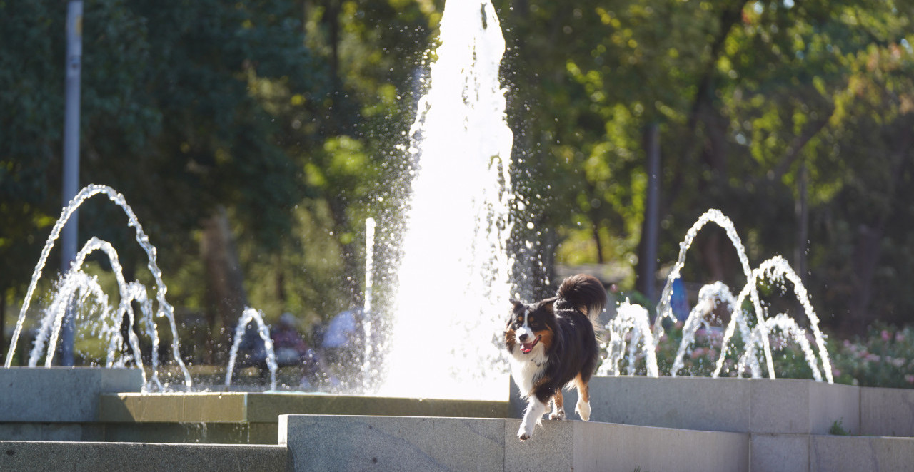 NEMA PREDAHA, PAKLENE VRUĆINE SE NASTAVLJAJU: Danas sunčano i toplo, ovo su maksimalne temperature!