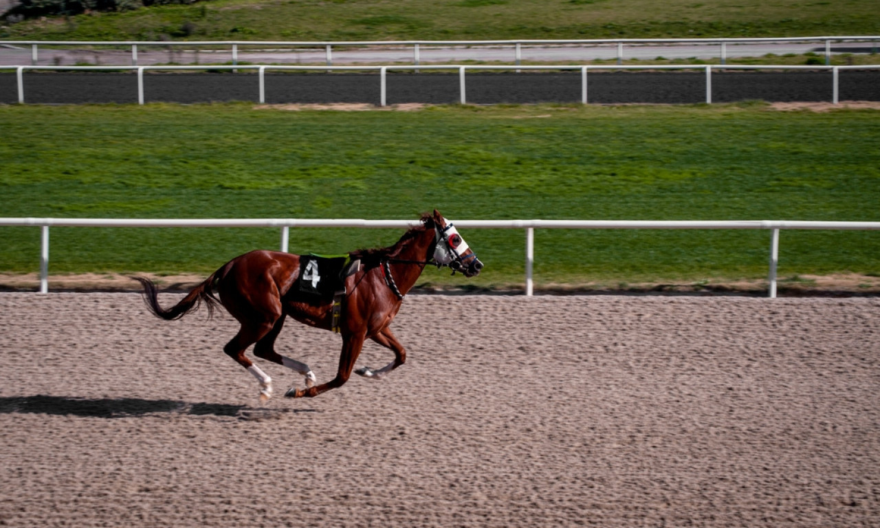 DEČAK PREMINUO NAKON ŠTO JE KONJ PAO NA NJEGA! Stravična tragedija tokom takmičenja u Kovilovu