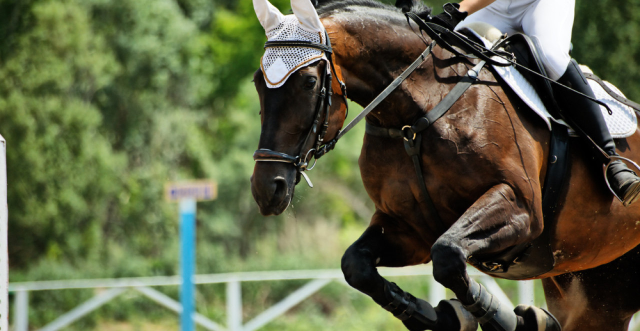 PRIZOR JE BIO JEZIV: Očevici otkrili kako je došlo do tragedije u Kovilovu u kojoj je stradao dečak (13)!