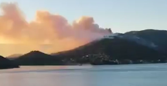 VATROGASCI SVE VREME NA TERENU Požar u vikend naselju kod Bovanskog jezera! Širi se velikom brzinom! Zahvaćene tri vikendice, šuma i trava! (VIDEO)