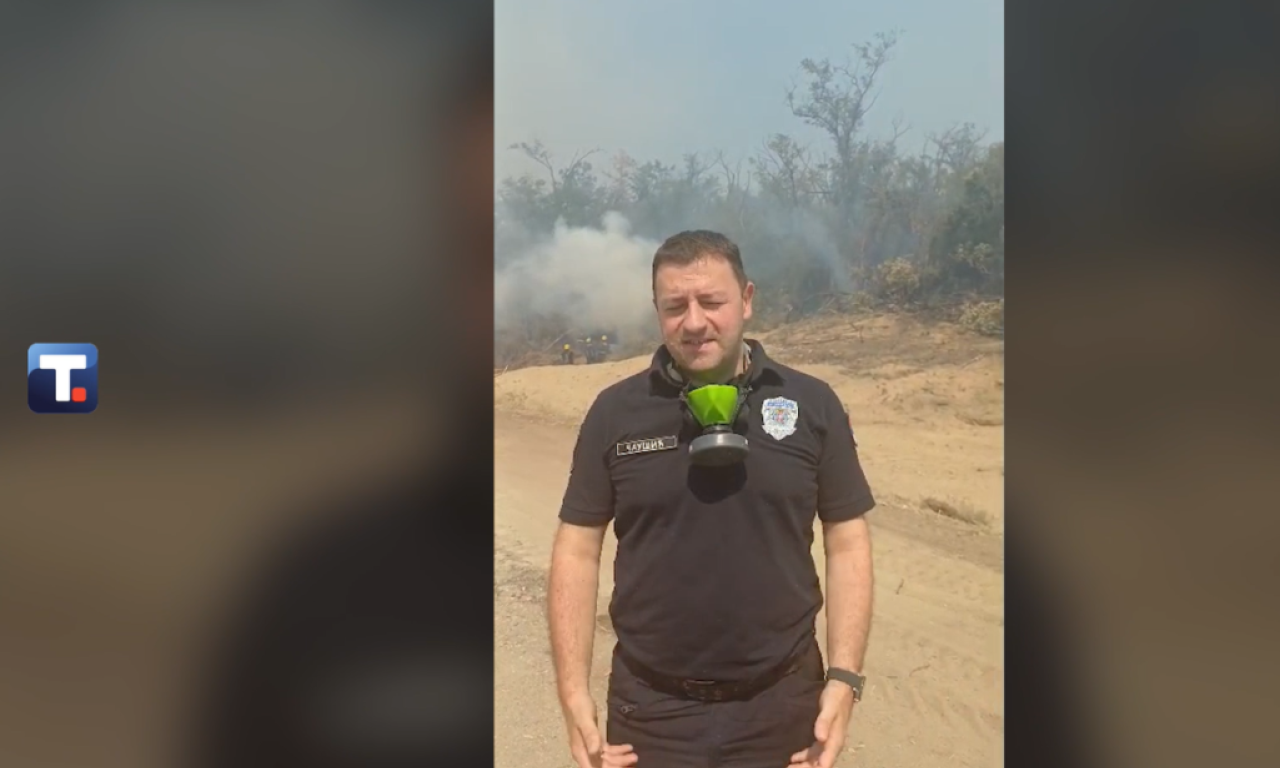 NOVE INFORMACIJE LUKE ČAUŠIĆA: Vetar počeo da širi požar u Deliblatskoj peščari, naselja nisu ugrožena