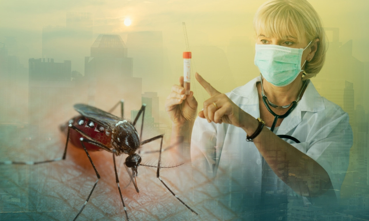 STANJE JE ALARMANTNO Groznica Zapadnog Nila hara Srbijom! Evo koliko je zaraženih trenutno!