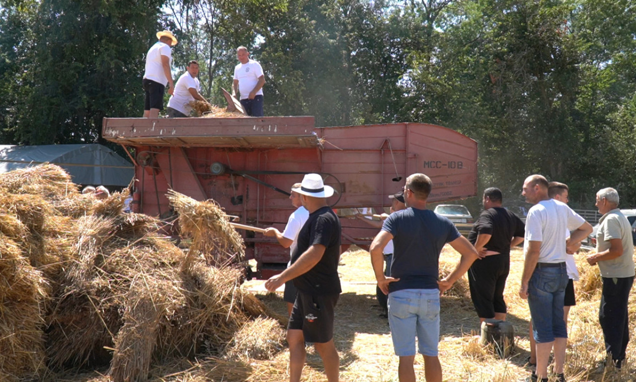 OVAKO SE NEKADA DOLAZILO DO HLEBA! Vršalica iz 1913. ponovo zagrmela, Mačvani oživeli duh prošlih vremena (FOTO)