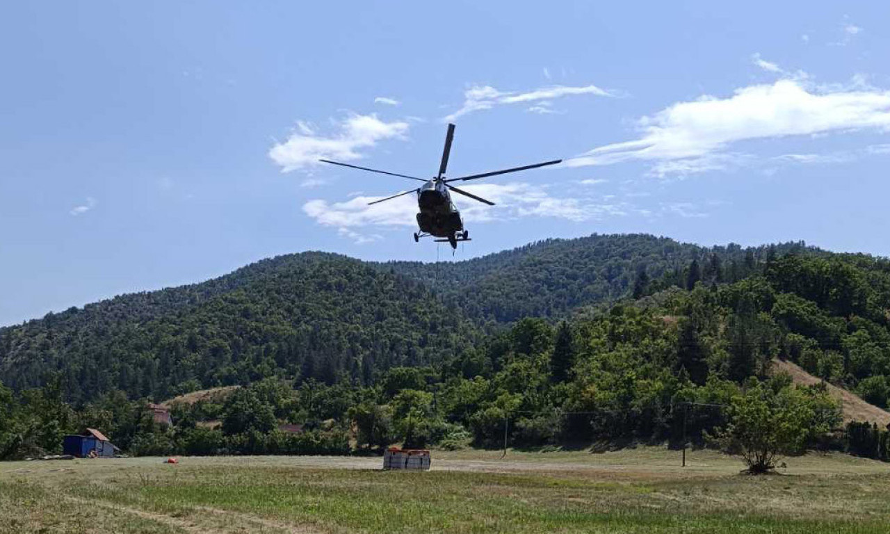 KOLIKO VREMENA JE POTREBNO DA SE OBNOVE ŠUME NAKON POŽARA? Iz "Srbijašuma" otkrivaju šta čeka opožarena područja