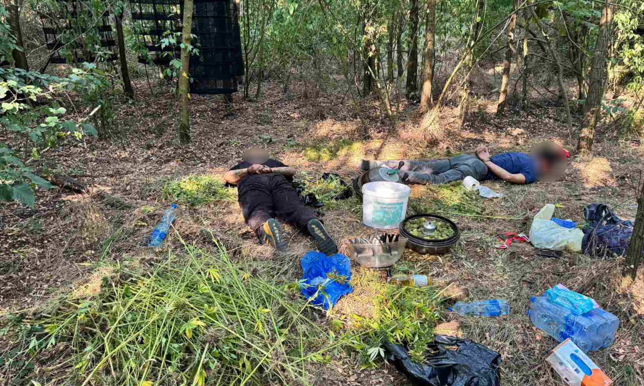 PAO DVOJAC U BEOGRADU: Uhapšeni usred "posla", policija otkrila ilegalnu laboratoriju i zaplenila 30 kilograma marihuane! (FOTO/VIDEO)