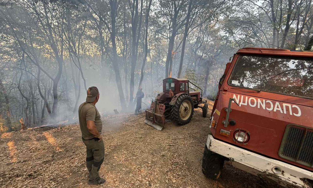 VELIKI POŽAR NA FRUŠKOJ GORI KONAČNO UGAŠEN! Vatrogasci se borili gotovo 20 sati (FOTO)
