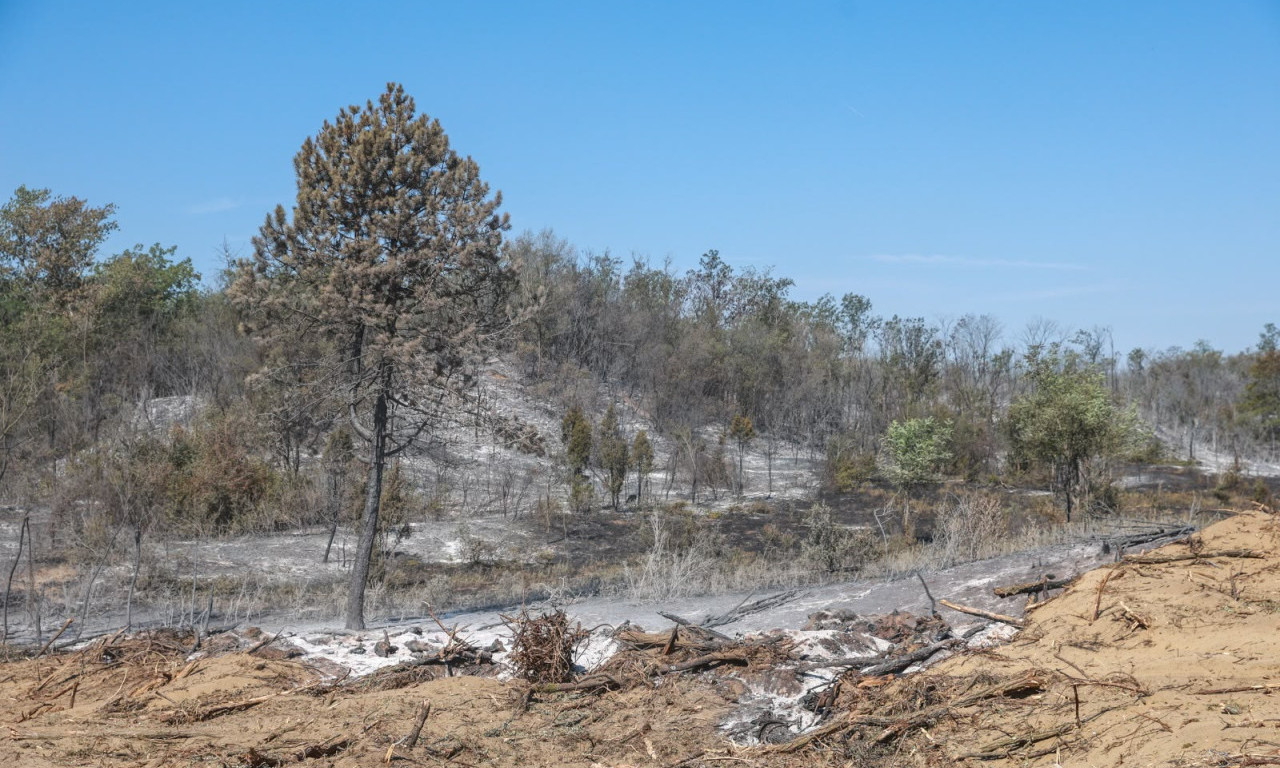 PRIZOR IZ DELIBLATSKE PEŠČARE TERA SUZE NA OČI! Vatrogasac usred vatre našao malo stvorenje, pogledajte šta je odmah uradio (VIDEO)