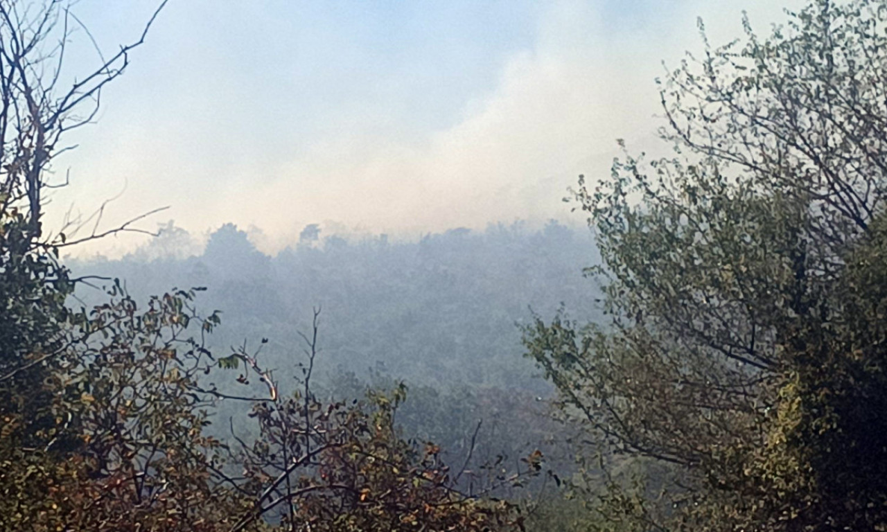 VELIKI POŽAR KOD LESKOVCA: Gori regionalna deponija, dim se širi ka dva sela