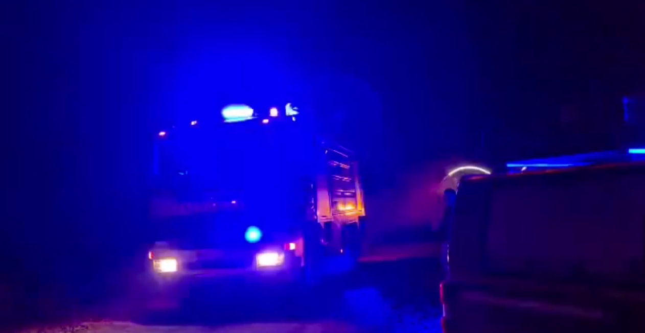 GORI NOVOSADSKA PLAŽA Vatrogasci i lokalni dobrovoljci bore se sa vatrom (VIDEO)