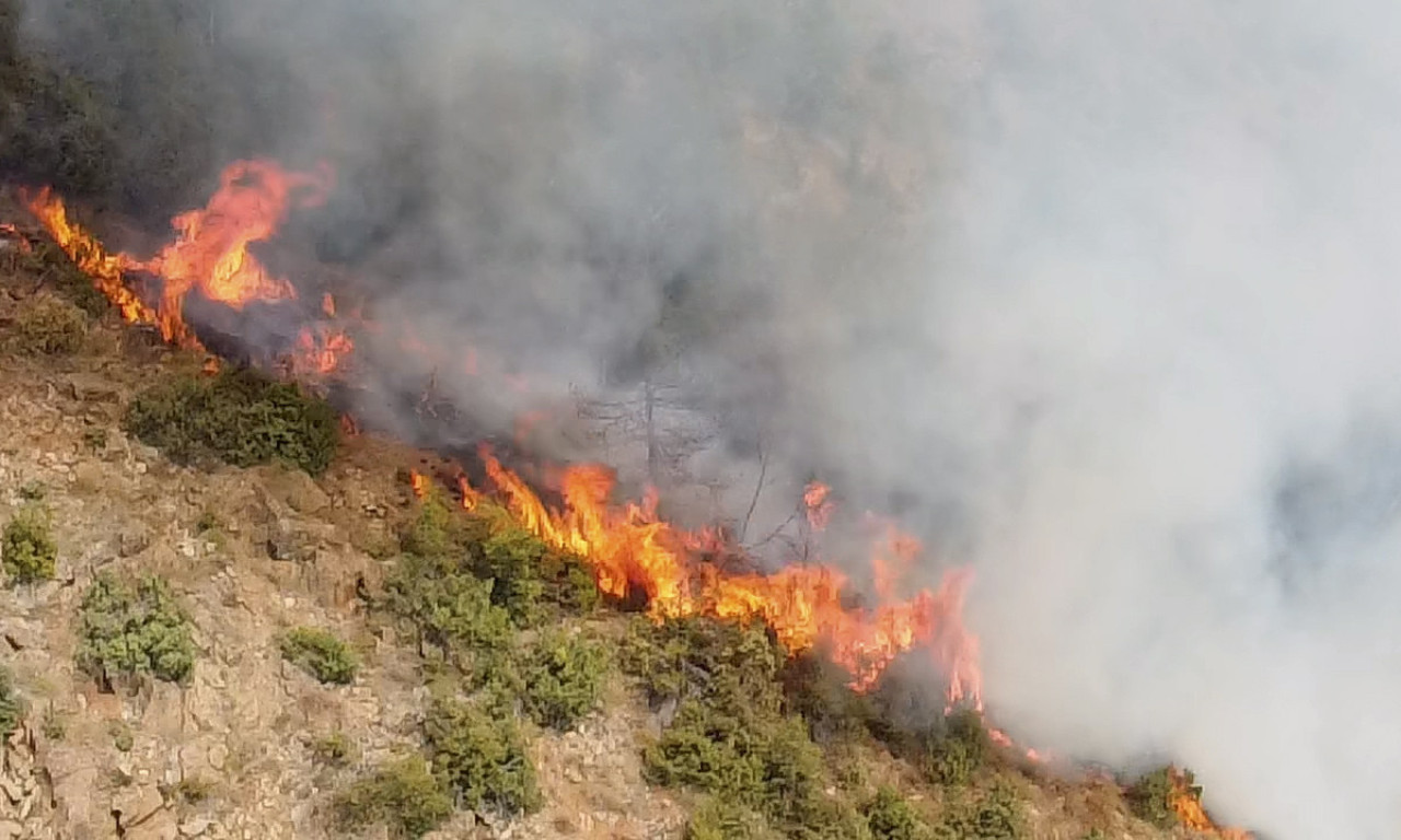 BUKTINJA GUTA SVE PRED SOBOM, NA TERENU 190 VATROGASACA Požar na Braču ne jenjava, ugroženi su objekti (VIDEO)