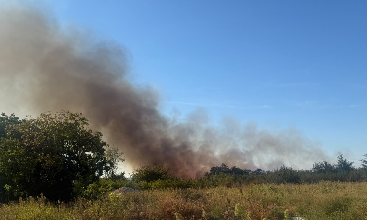 GORI PORED PUTA KOD POŽAREVCA! Gust dim se nadvija nad kolovozom, požar blizu naplatne rampe (FOTO/VIDEO)