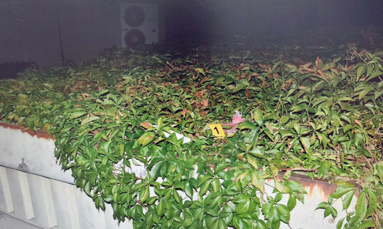 PRONAĐENA DROGA NA FAKULTETU! Svi detalji drame na Filozofskom (FOTO)