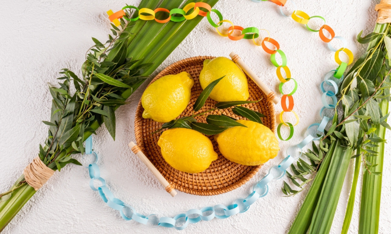 PO ZALASKU SUNCA POČINJE SUKOT Jevreji podižu kolibe i slave „vreme radosti“