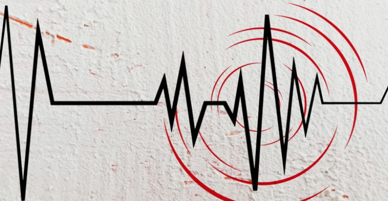 ZATRESAO SE TRSTENIK Da li vas je probudio zemljotres?