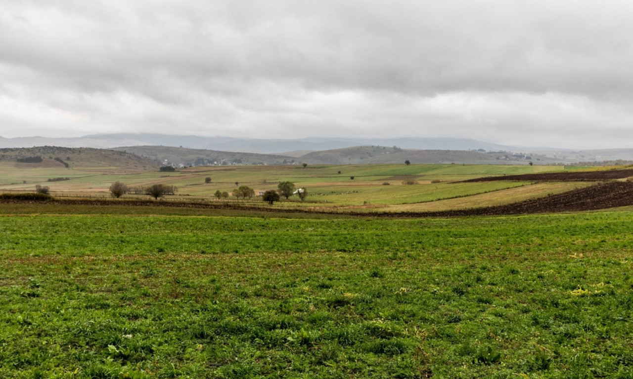 ZOVU JE SRPSKIM SIBIROM: Ovo je hit destinacija sa više od 10.000 turista, stranci čine većinu gostiju