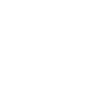 instagram link icon
